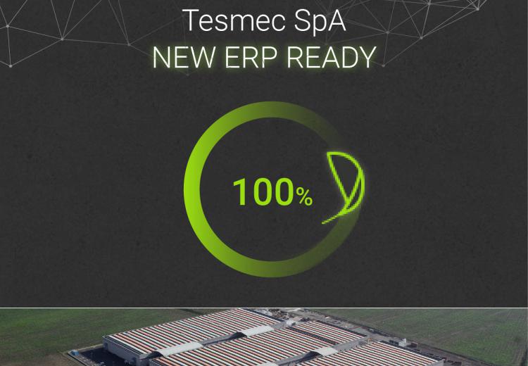 Tesmec ERP ready